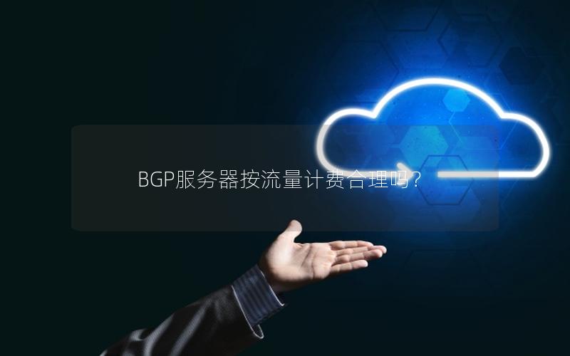 BGP服务器按流量计费合理吗？