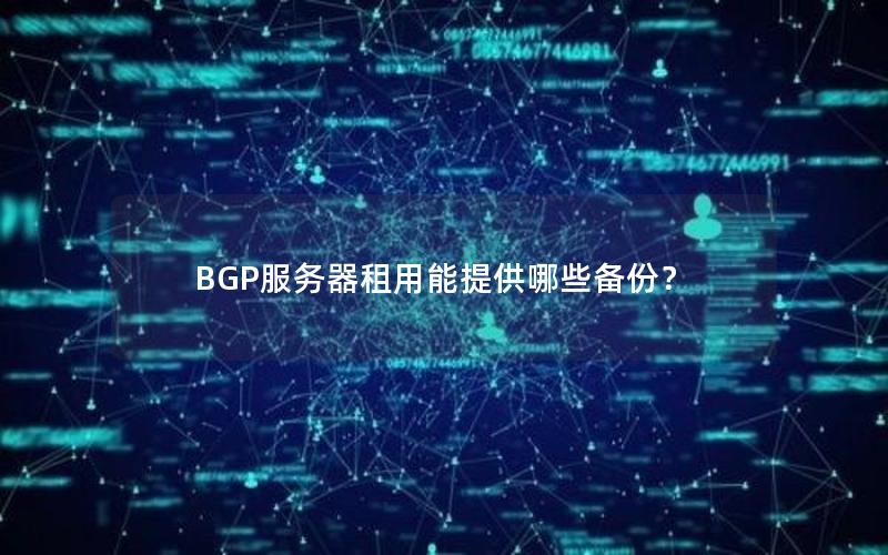 BGP服务器租用能提供哪些备份？