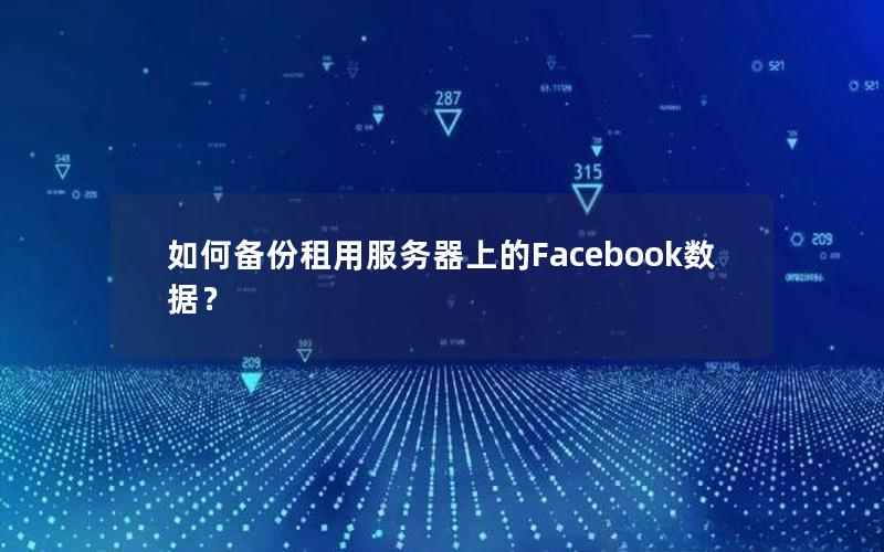 如何备份租用服务器上的Facebook数据？