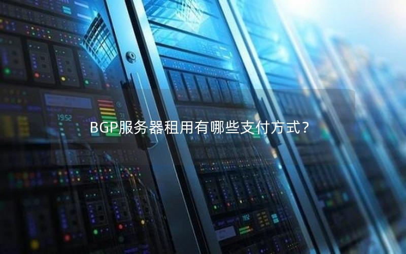 BGP服务器租用有哪些支付方式？