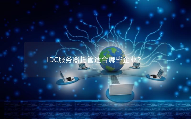 IDC服务器托管适合哪些企业？