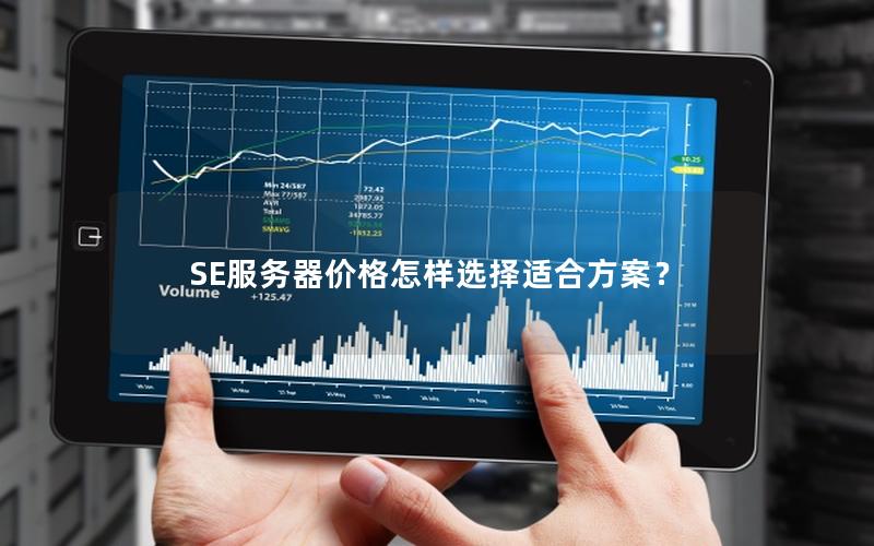 SE服务器价格怎样选择适合方案？