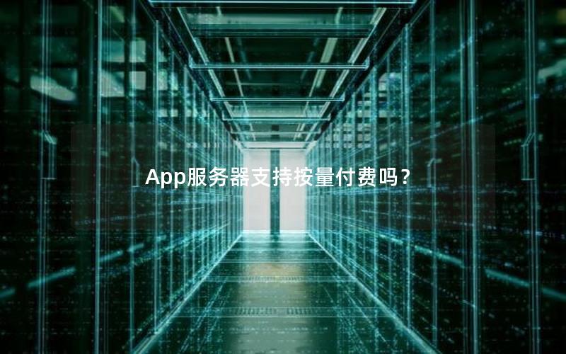 App服务器支持按量付费吗？