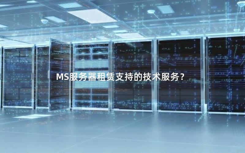 MS服务器租赁支持的技术服务？