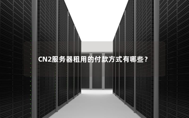 CN2服务器租用的付款方式有哪些？