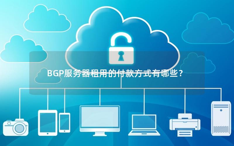 BGP服务器租用的付款方式有哪些？