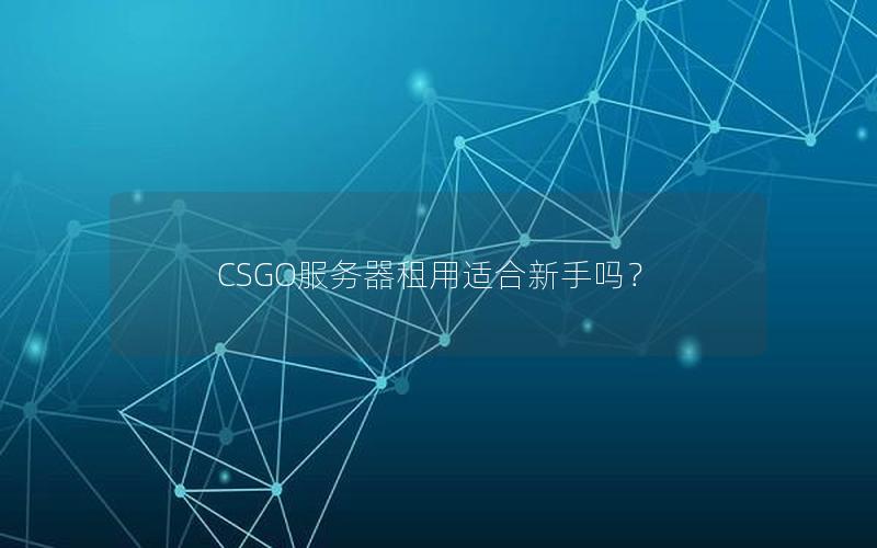 CSGO服务器租用适合新手吗？