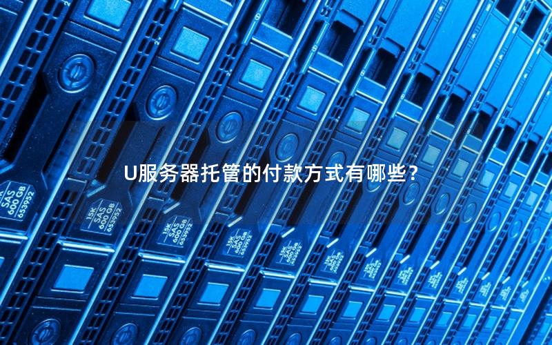 U服务器托管的付款方式有哪些？