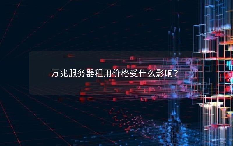 万兆服务器租用价格受什么影响？