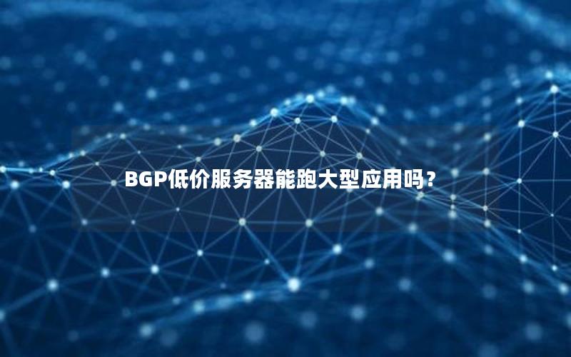 BGP低价服务器能跑大型应用吗？