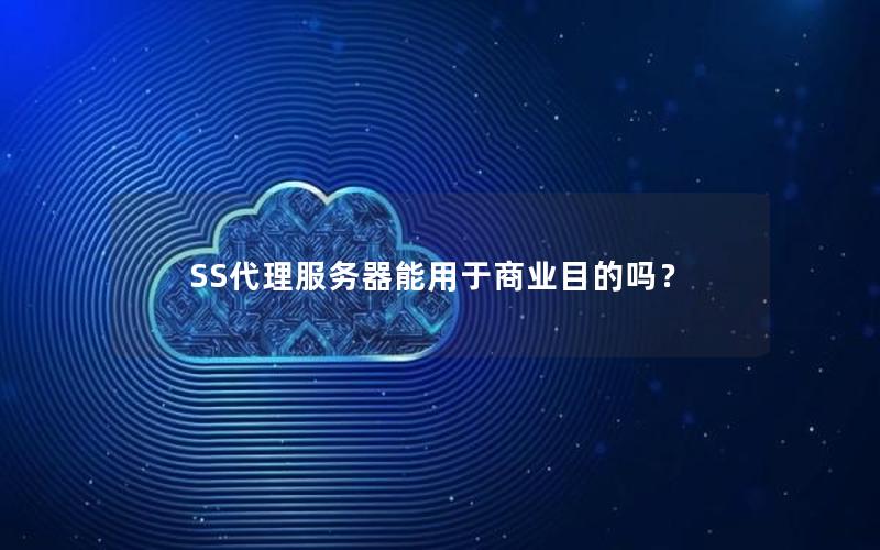 SS代理服务器能用于商业目的吗？