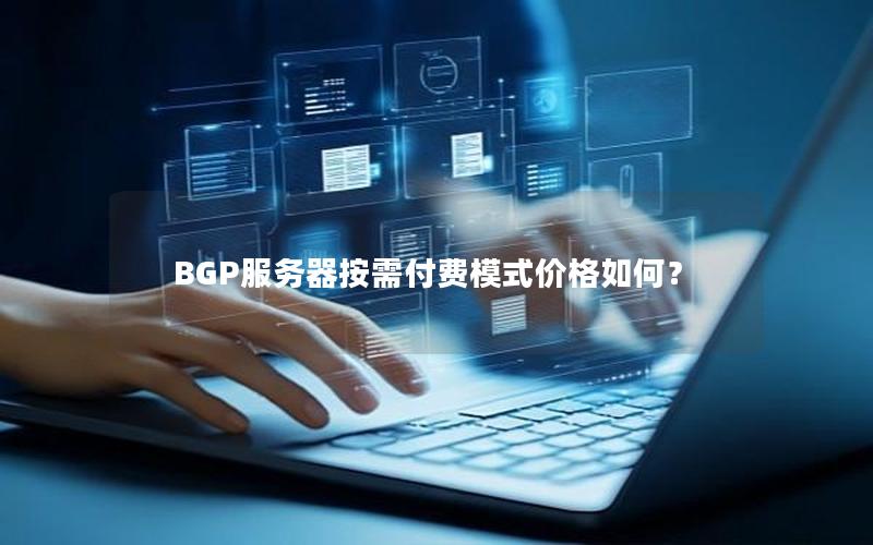 BGP服务器按需付费模式价格如何？