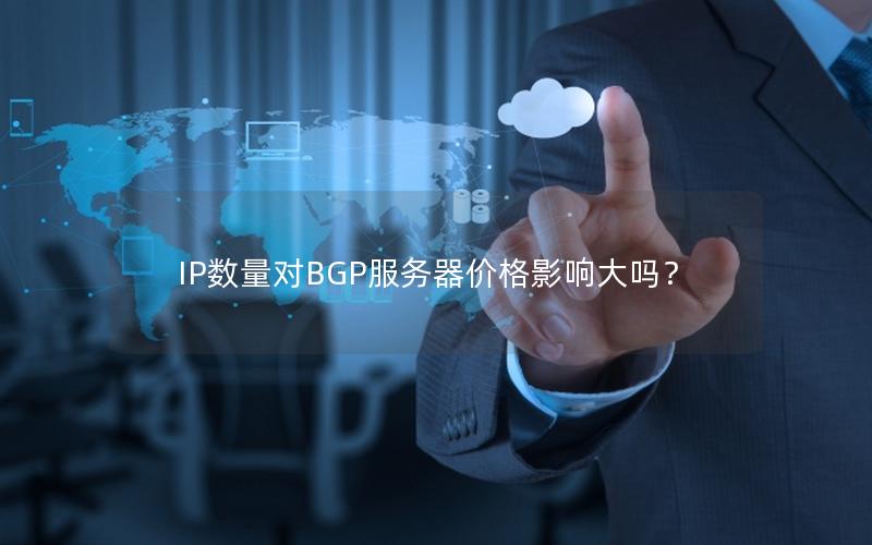 IP数量对BGP服务器价格影响大吗？