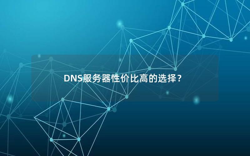 DNS服务器性价比高的选择？