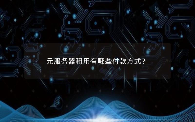 元服务器租用有哪些付款方式？