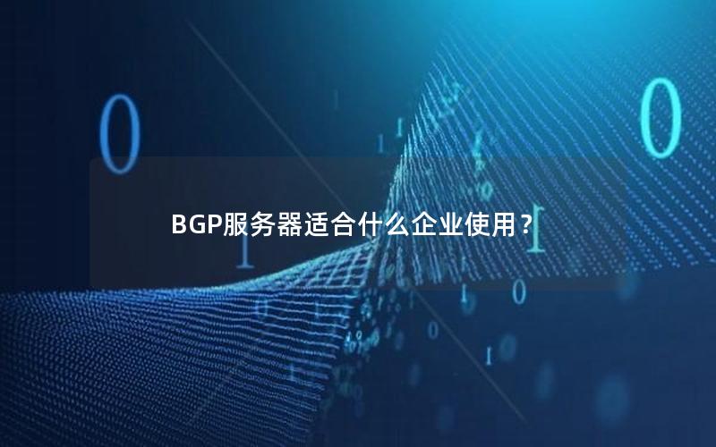 BGP服务器适合什么企业使用？