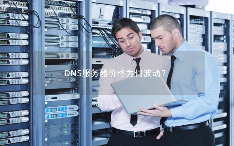 DNS服务器价格为何波动？