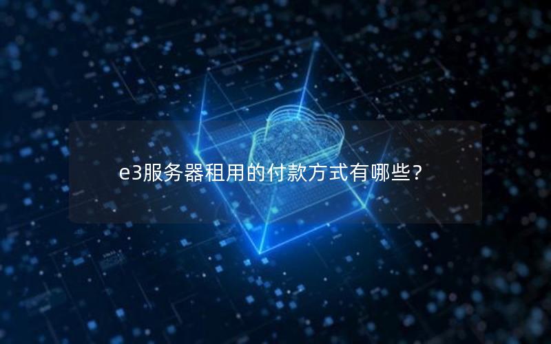 e3服务器租用的付款方式有哪些？