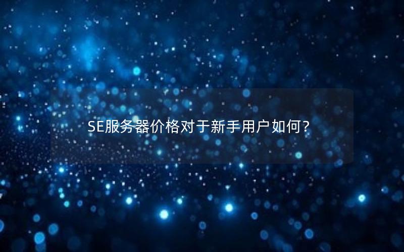 SE服务器价格对于新手用户如何？