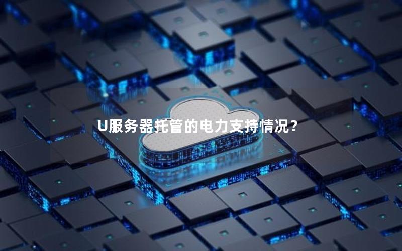 U服务器托管的电力支持情况？