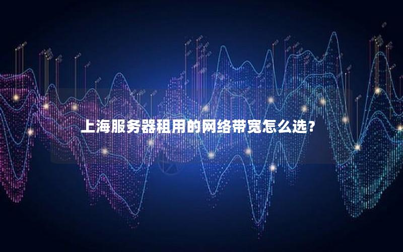 上海服务器租用的网络带宽怎么选？