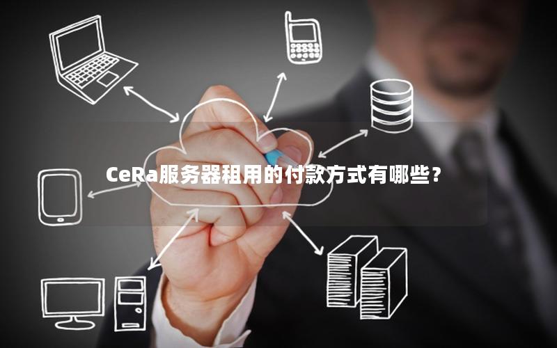 CeRa服务器租用的付款方式有哪些？