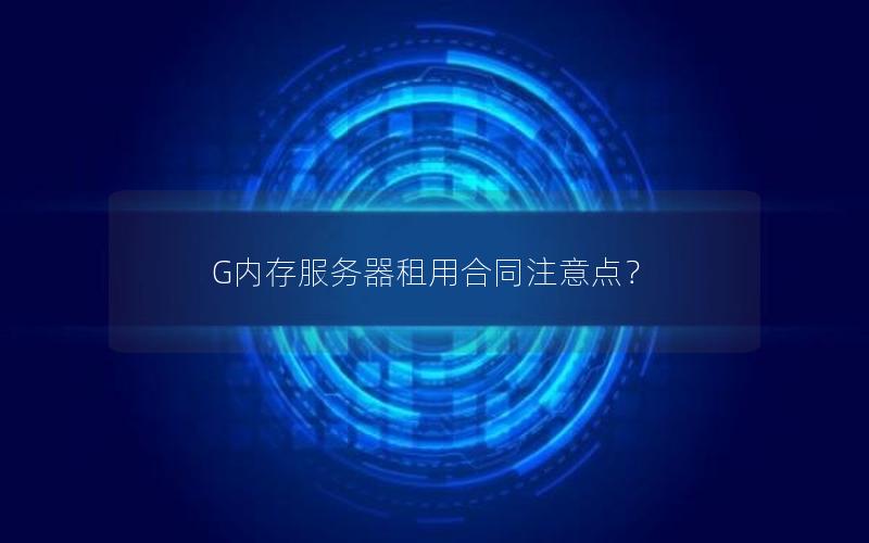 G内存服务器租用合同注意点？