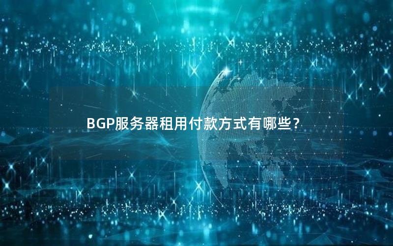 BGP服务器租用付款方式有哪些？