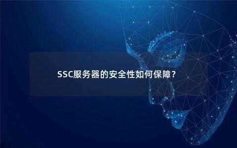 SSC服务器的安全性如何保障？