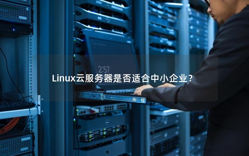 Linux云服务器是否适合中小企业？