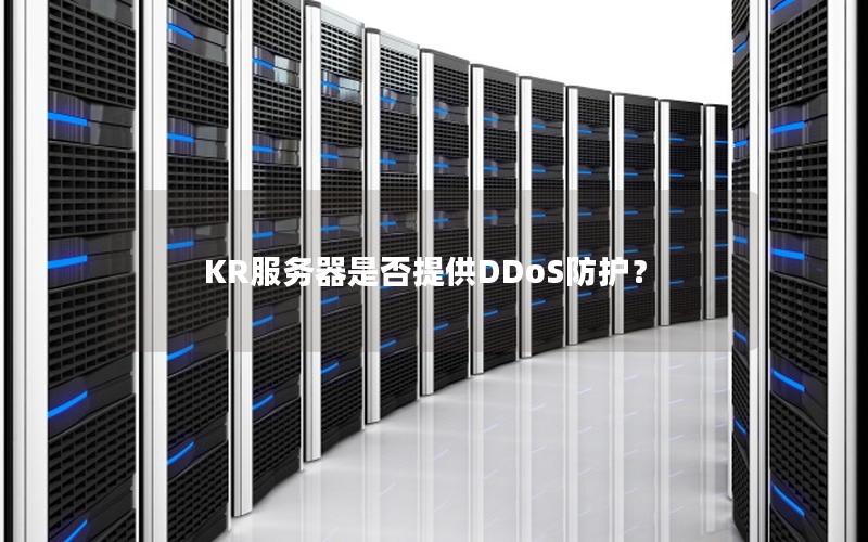 KR服务器是否提供DDoS防护？