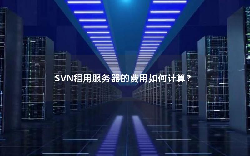 SVN租用服务器的费用如何计算？