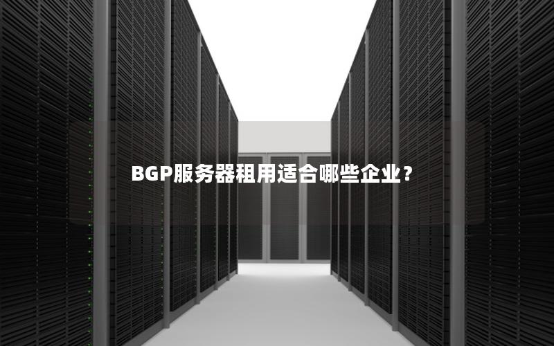 BGP服务器租用适合哪些企业？