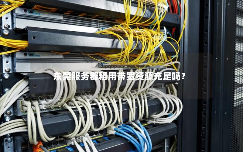 东莞服务器租用带宽资源充足吗？