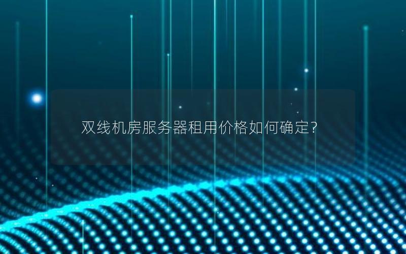 双线机房服务器租用价格如何确定？