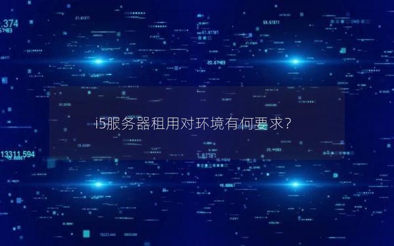 i5服务器租用对环境有何要求？