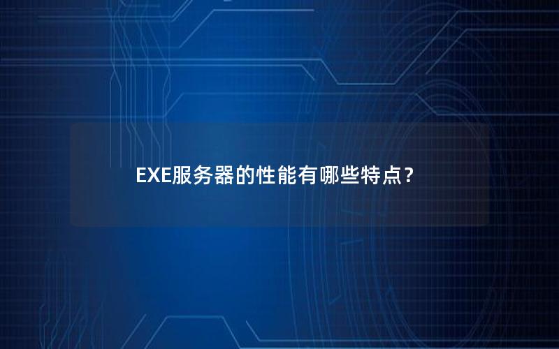 EXE服务器的性能有哪些特点？