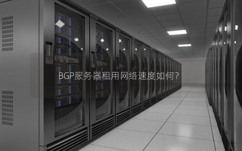 BGP服务器租用网络速度如何？