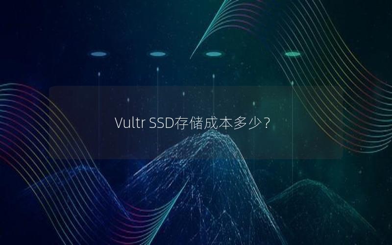 Vultr SSD存储成本多少？