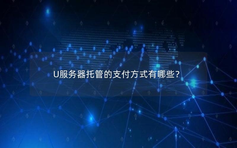 U服务器托管的支付方式有哪些？