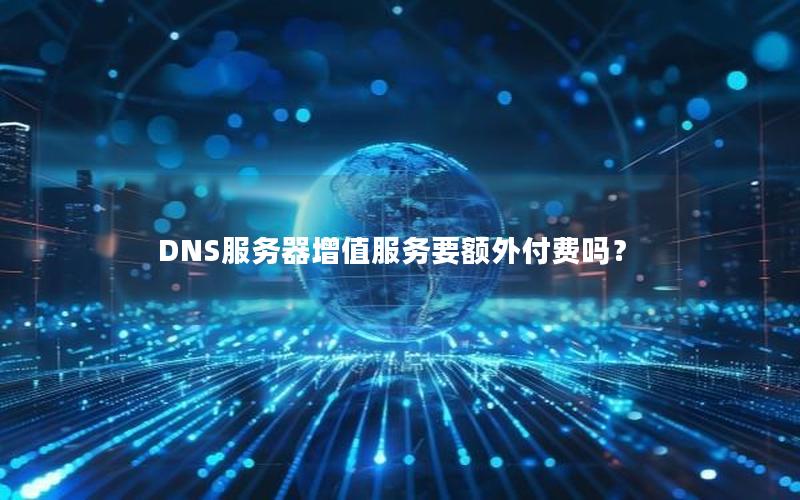 DNS服务器增值服务要额外付费吗？