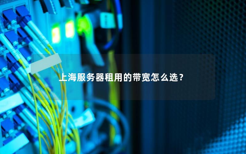 上海服务器租用的带宽怎么选？