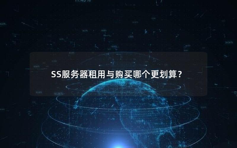 SS服务器租用与购买哪个更划算？