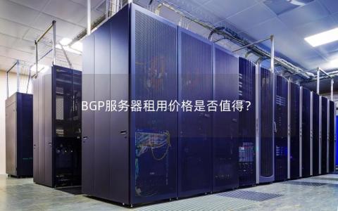 BGP服务器租用价格是否值得？