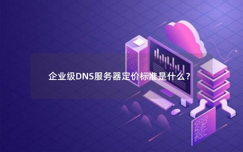 企业级DNS服务器定价标准是什么？