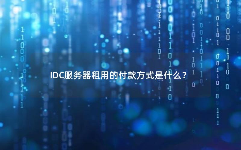 IDC服务器租用的付款方式是什么？