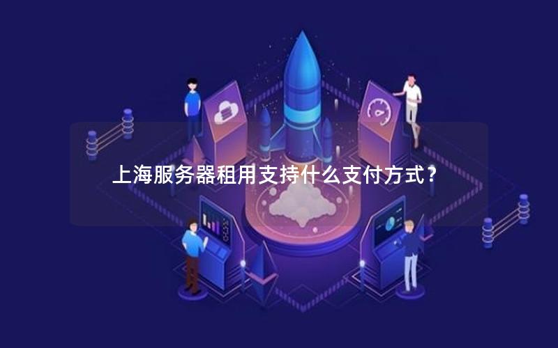 上海服务器租用支持什么支付方式？