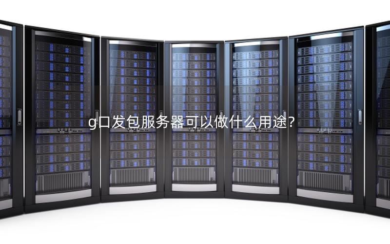 g口发包服务器可以做什么用途？