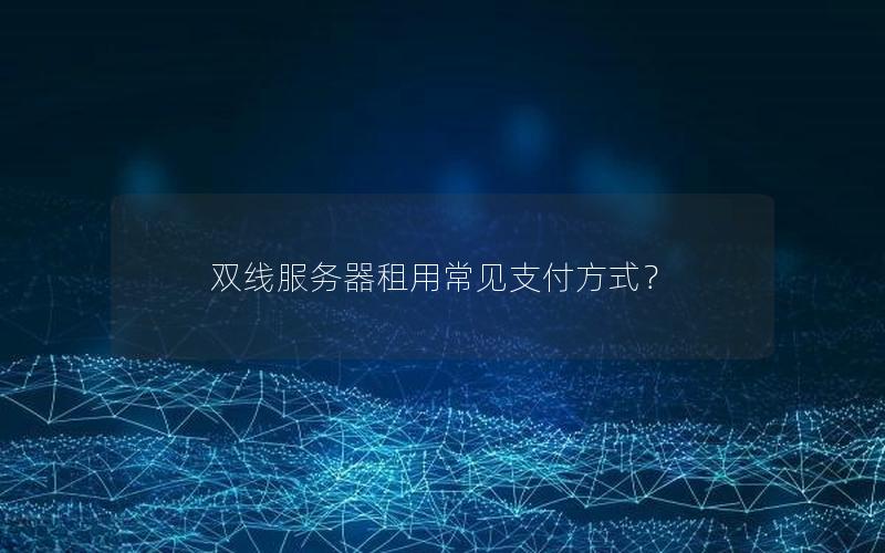 双线服务器租用常见支付方式？