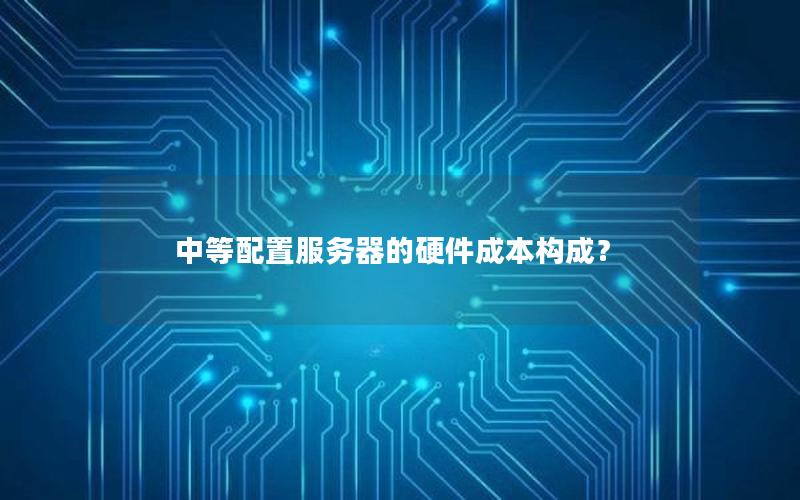 中等配置服务器的硬件成本构成？